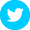 twitter icon